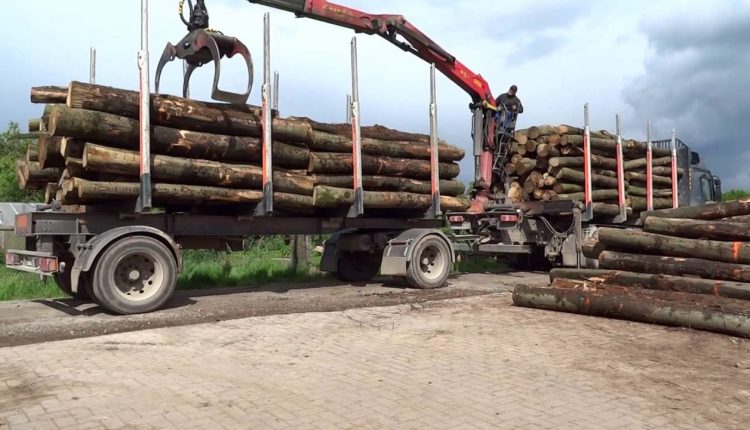 Trafic de Bois