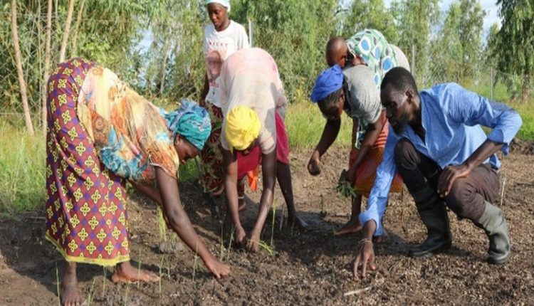 Campagne agricole GRANDPANEL