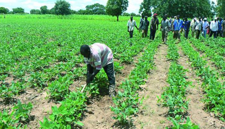 JOURNÉE MONDIALE DES LUTTES PAYSANNES Le monde Paysan appelle à l’action GRANDPANEL