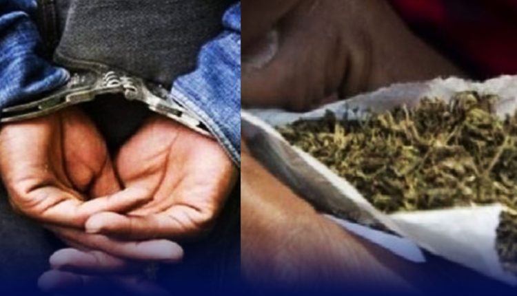 CESSION DE CHANVRE INDIEN A GUÉDIAWAYE Le ‘’papi dealer’’ écope de deux ans de prison GRANDPANEL