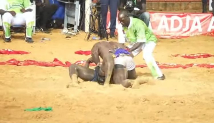 VAINQUEUR FACE A SA THIES GRANDPANEL